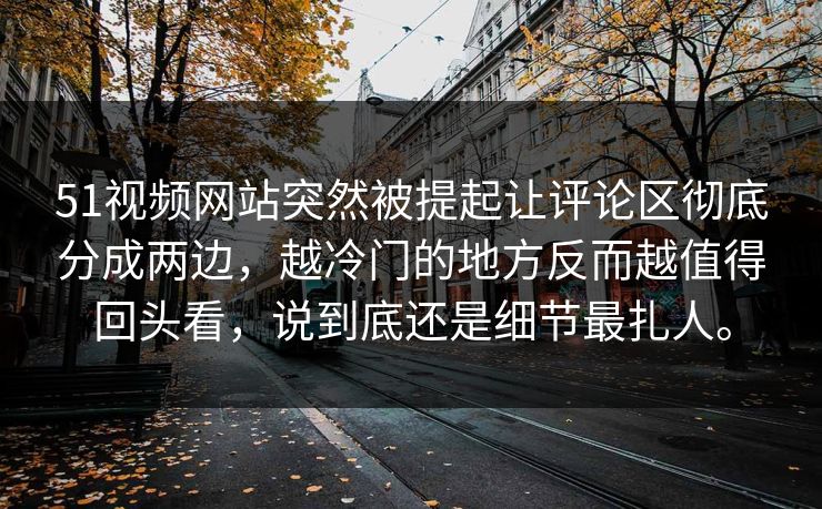 51视频网站突然被提起让评论区彻底分成两边，越冷门的地方反而越值得回头看，说到底还是细节最扎人。