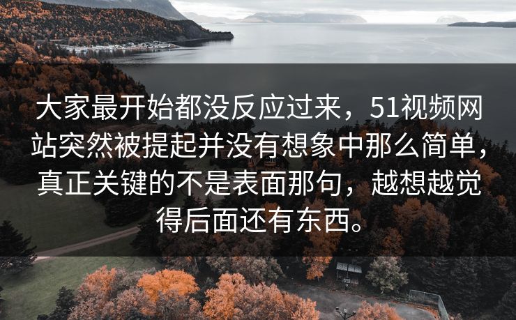 大家最开始都没反应过来，51视频网站突然被提起并没有想象中那么简单，真正关键的不是表面那句，越想越觉得后面还有东西。