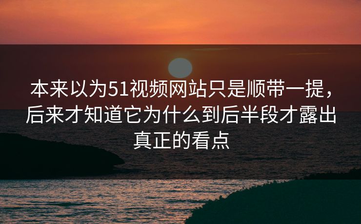 本来以为51视频网站只是顺带一提，后来才知道它为什么到后半段才露出真正的看点