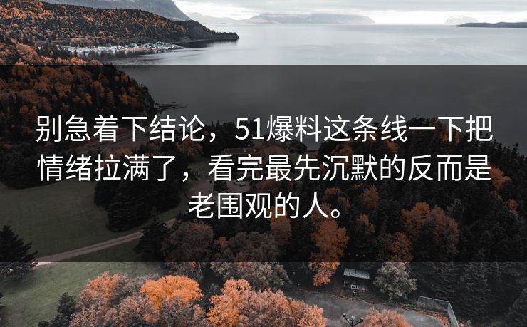 别急着下结论，51爆料这条线一下把情绪拉满了，看完最先沉默的反而是老围观的人。